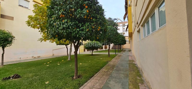 Foto c90ce5f6-07a5-4712-89f9-58ebe20bb326. Pis a Ollerías - San Cayetano Córdoba