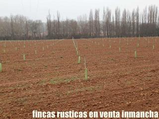 Propriété à Roda (La). Finca en venta labor regadío en albacete