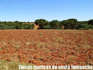 Propriété à Motilla del Palancar. Finca en venta labor monte caza menor en cuenca