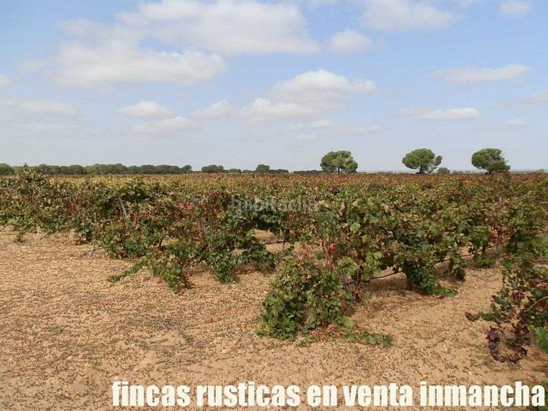 Foto 233d5933-8ea4-4e90-9e1d-8bb5e0265927. Fondo rustico in Pozoamargo