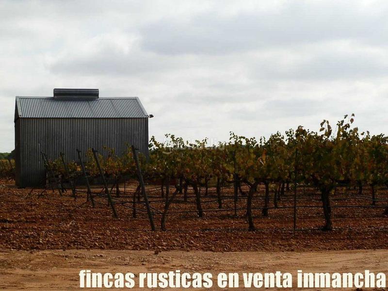 Foto 247e8fe4-6ac4-499e-9640-84233656846e. Fondo rustico in Pozoamargo