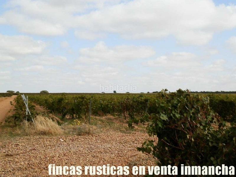 Foto 28088bb0-ca5e-4cdd-aeb6-a66fa3e67e23. Fondo rustico in Pozoamargo