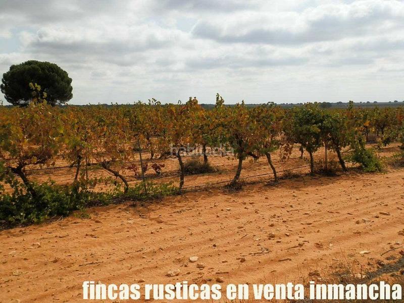 Foto 34a9529a-dc47-47dc-87a5-61aa4e5f22e1. Fondo rustico in Pozoamargo