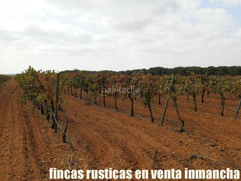 Foto 53ccc709-c6a3-48c9-bede-362688277160. Fondo rustico in Pozoamargo