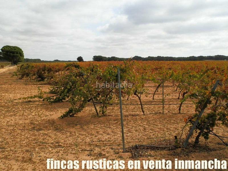 Foto 59212b40-6e96-4cec-a2cd-4fa3a2b5b1fc. Fondo rustico in Pozoamargo