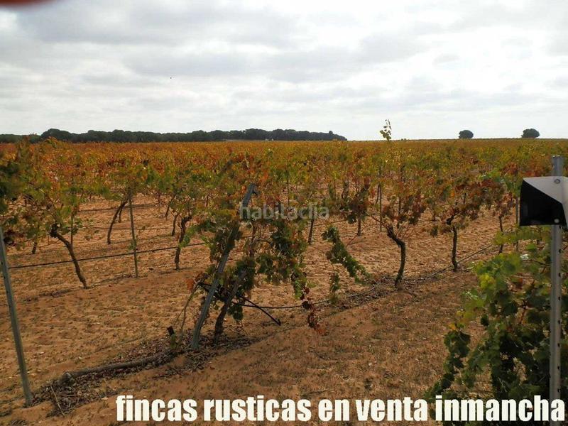 Foto 5f44b6a6-519c-413a-a2d1-8b6dfc987dc5. Fondo rustico in Pozoamargo