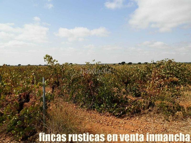 Foto b07bb052-6c24-4a54-922a-1da2fd9ad0a8. Fondo rustico in Pozoamargo