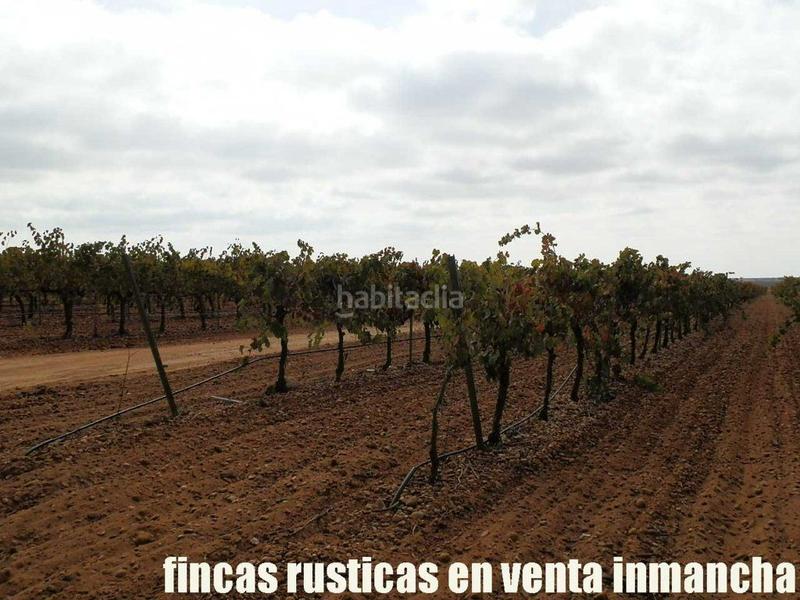 Foto b19da267-028f-4733-82a1-18e75cfca49c. Fondo rustico in Pozoamargo