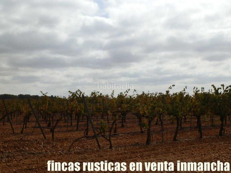 Foto c5bc8369-65a9-4f90-905e-f71f3878eb32. Fondo rustico in Pozoamargo