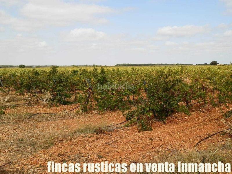 Foto ce59d1c9-314b-4d8a-8d53-d655b34f0bf6. Fondo rustico in Pozoamargo
