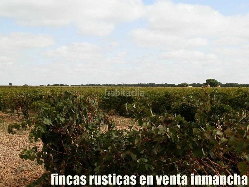 Foto d5014ed2-74c9-4289-a23a-a1a43fe583d7. Fondo rustico in Pozoamargo