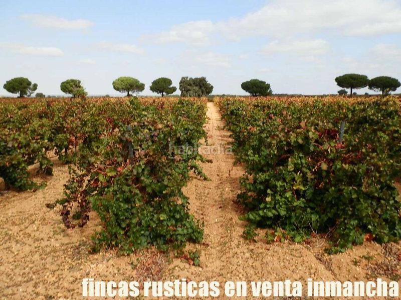 Foto e966a943-ef2f-40cf-85cd-3c36a168a409. Fondo rustico in Pozoamargo