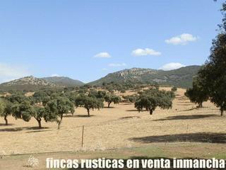 Finca rústica en Peñalsordo. Finca en venta labor ganadera caza mayor caserío en badajoz