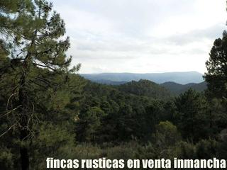 Finca rústica a Riópar. Finca en venta recreo monte en albacete