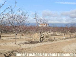 Finca rústica a Mora. Finca en venta almendros olivar viña regadío en toledo