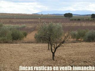 Finca rústica a Cieza. Finca en venta almendros secano en murcia