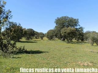 Finca rústica a Ciudad Rodrigo. Finca en venta ganadera en salamanca