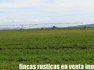 Propriété à Manzanares. Finca en venta labor regadío quesería ganado en ciudad real