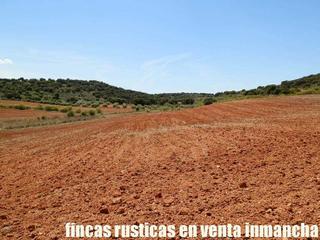Finca rústica a Villanueva de los Infantes. Finca en venta labor secano caza menor caserío en ciudad real