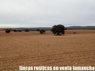 Finca rústica a Calle albacete 10. Fincas inmancha 388 has. labor caza menor en villarrobledo (alba