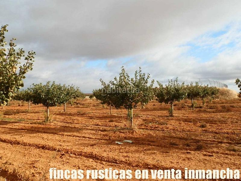 Foto 0fb7ffba-cab8-4850-80a0-faac07589412. Finca rústica a Mesas (Las)