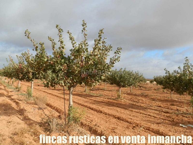 Foto 204e9427-657a-47c0-8eb1-9ac0747cb3fc. Finca rústica a Mesas (Las)