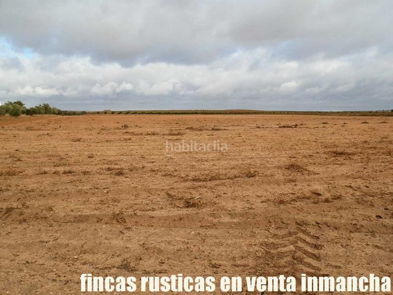 Foto 41eeac8c-6d1a-496d-ab9c-7c8acf8dd415. Finca rústica a Mesas (Las)