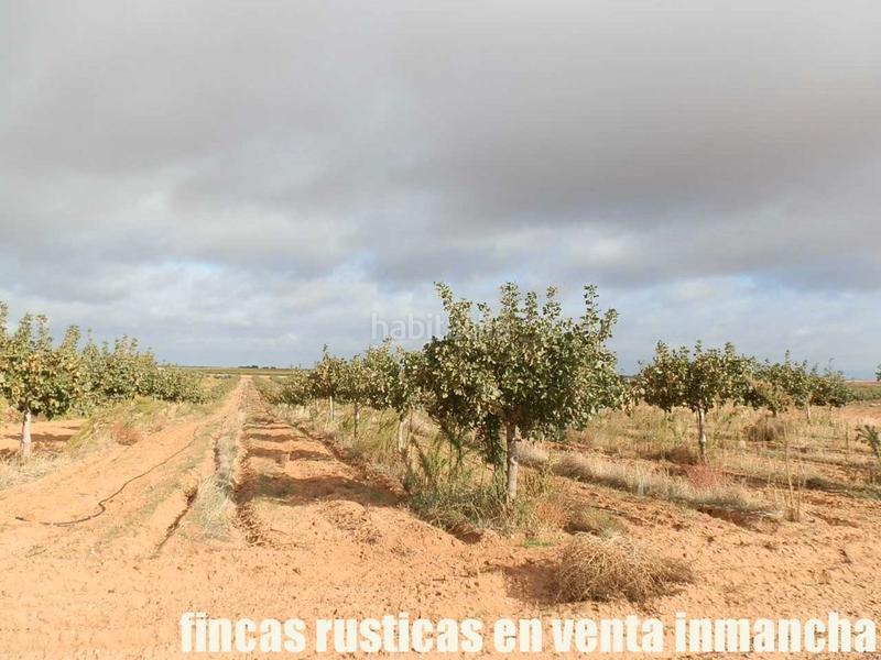Foto 6314ce5a-4bd7-4bbf-ab81-2f8575751e3b. Finca rústica a Mesas (Las)