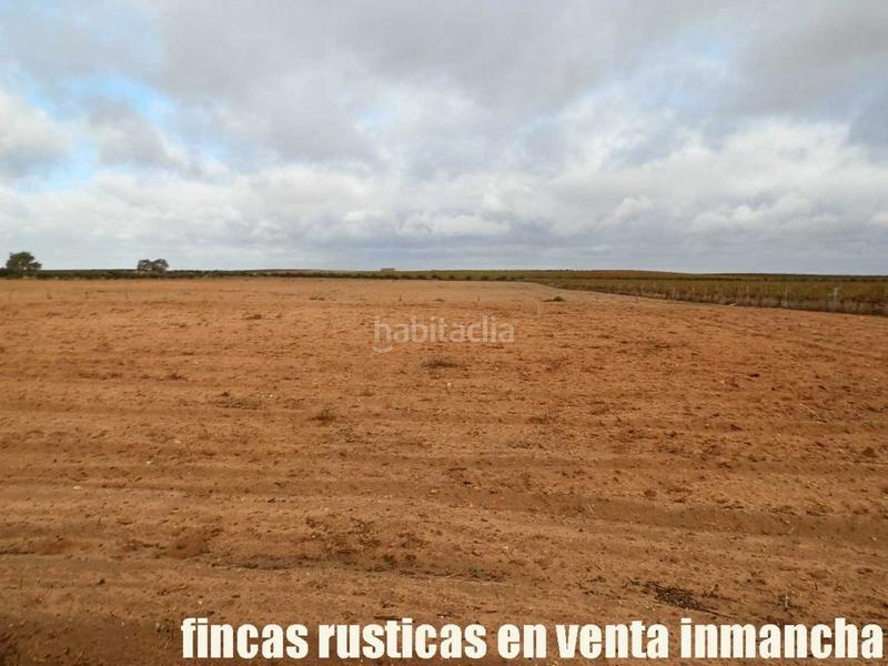 Foto 652550b2-e44f-4b18-8ed7-e3ba319da55c. Finca rústica a Mesas (Las)