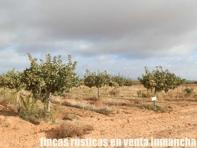 Foto 6a23f9b8-6fef-4f82-b2ea-9804f3ec3e21. Finca rústica a Mesas (Las)