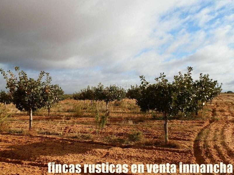 Foto 743815aa-a430-460c-8385-4515e69b422c. Finca rústica a Mesas (Las)