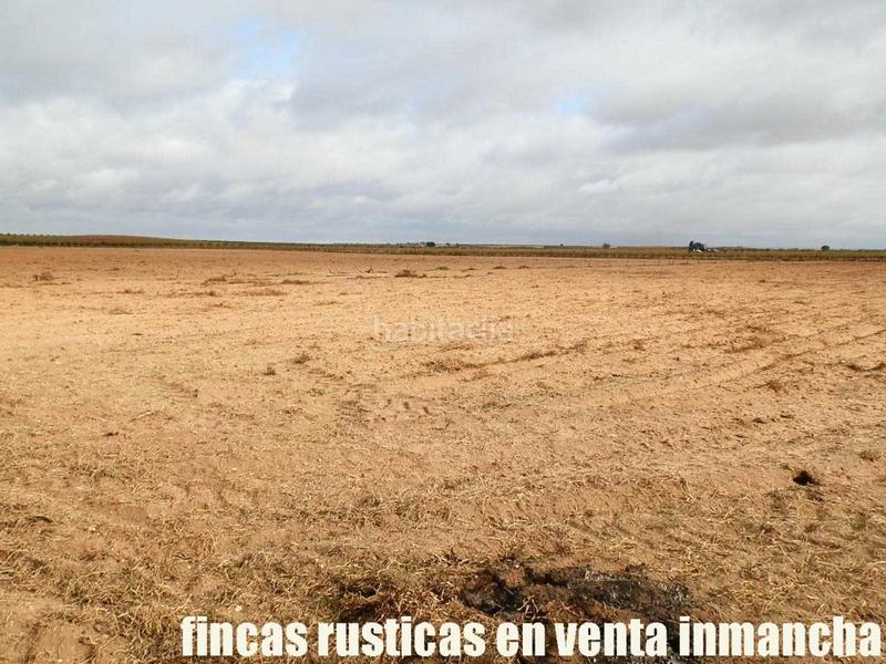 Foto 75550412-c6b5-476a-8e35-0af7f9fe7ab9. Finca rústica a Mesas (Las)