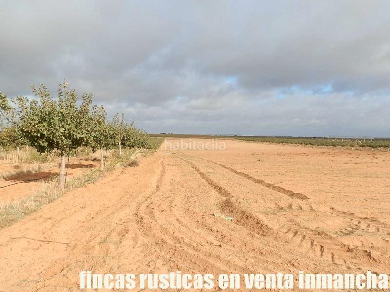Foto 8735e20b-94e5-461a-9f8d-b290bbc4be17. Finca rústica a Mesas (Las)