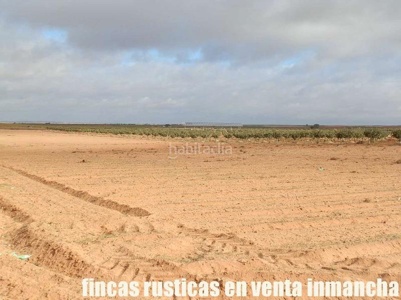 Foto 8c1c5654-38fa-4c9a-8f89-749d38ae821b. Finca rústica a Mesas (Las)