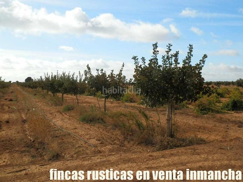 Foto 9048b207-5ca2-4b07-8cd6-ddeadf366933. Finca rústica a Mesas (Las)
