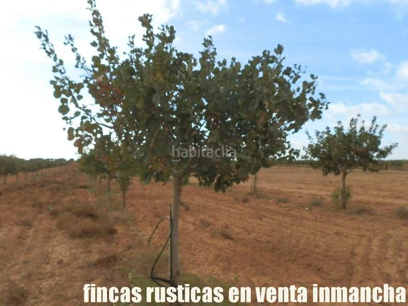 Foto 98c3f33b-6460-4279-9774-7202579f317b. Finca rústica a Mesas (Las)