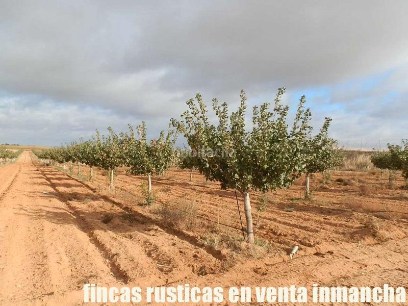 Foto 98cb7449-d6f8-4322-b6e4-e28e139cdf57. Finca rústica a Mesas (Las)