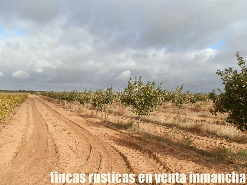 Foto a952adba-3679-46a1-8bd9-34921f287d62. Finca rústica a Mesas (Las)