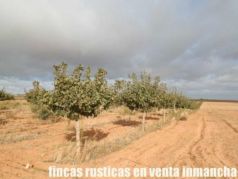 Foto bb2bc2fb-dc24-4098-b779-5429b485114b. Finca rústica a Mesas (Las)