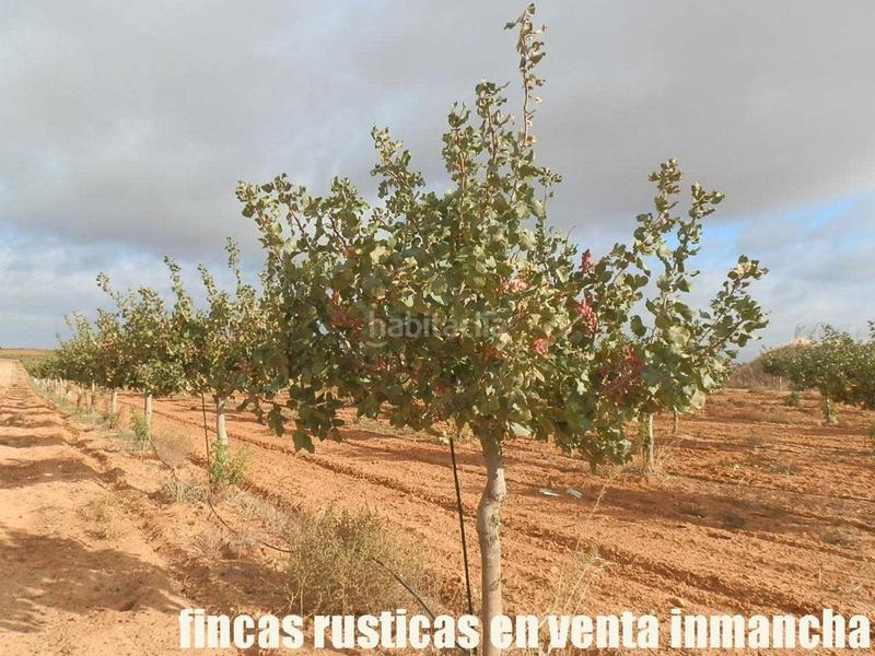 Foto d9b987d9-c8f0-49d0-bd7d-a5789a963caf. Finca rústica a Mesas (Las)