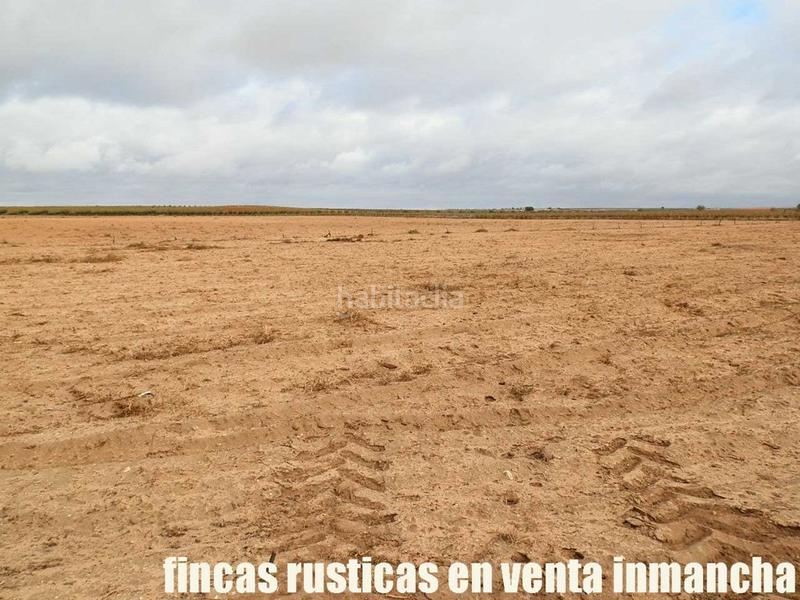 Foto fbbaaa79-325c-40db-846c-24333fecbb9a. Finca rústica a Mesas (Las)