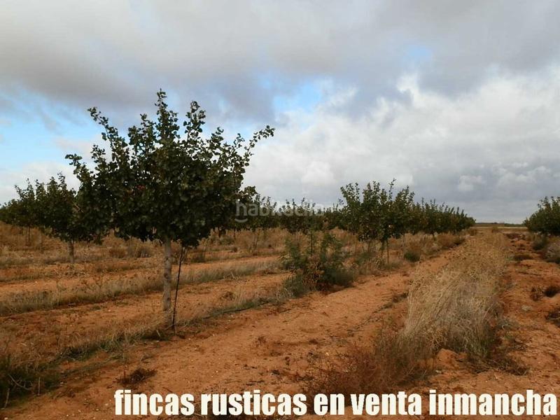 Foto fca9c582-5905-45d1-b932-94e0f58ba4e0. Finca rústica a Mesas (Las)