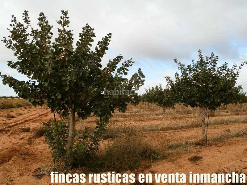 Foto ff851f22-50e5-4ff1-88b0-336a7b176319. Finca rústica a Mesas (Las)