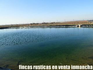 Finca rústica a Plaza españa 1. Finca en venta 22 has. pistacho-viña riego en ecológico en las m