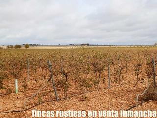 Finca rústica a Calle socuéllamos 129. Finca en venta 22 has. viña-labor riego en ecológico en socuélla