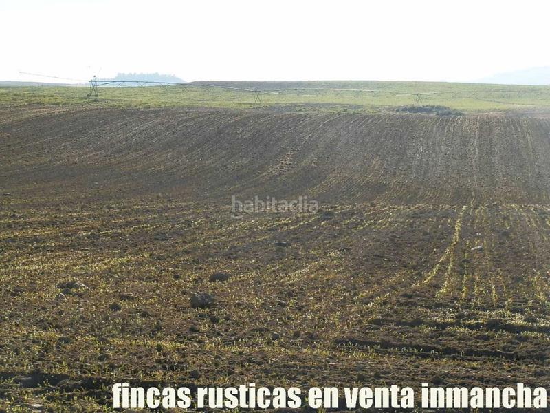 Foto 025c9b13-d157-4fac-86ab-b26a500c2c35. Fondo rustico in Huete