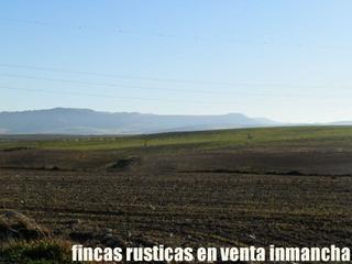 Finca rústica en Huete. Finca en venta 180 has. labor riego pistacho en huete (cuenca)