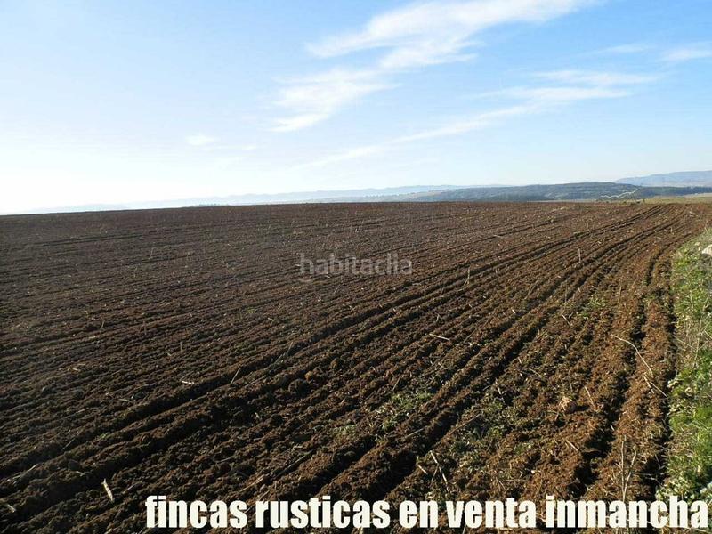 Foto 90fa5206-6cec-475e-a149-0d3dcc5d065b. Fondo rustico in Huete