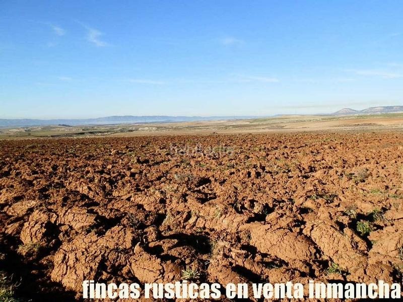 Foto e1150bd3-9ad4-4877-a360-f05d4ba021ac. Fondo rustico in Huete