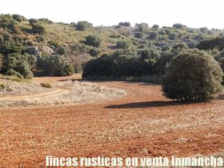 Propriété à Manzanares. Finca en venta labor olivar monte caza menor